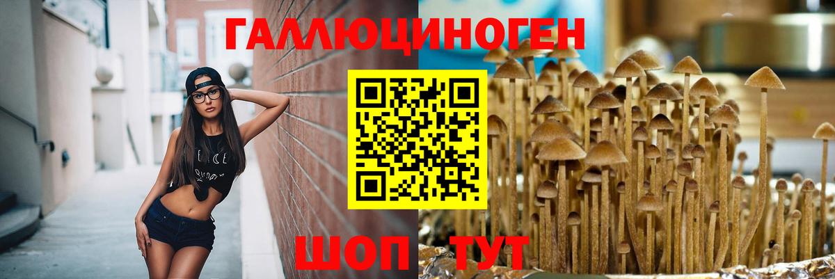 Галлюциногенные грибы мицелий  Вход с VPN  Мыски 